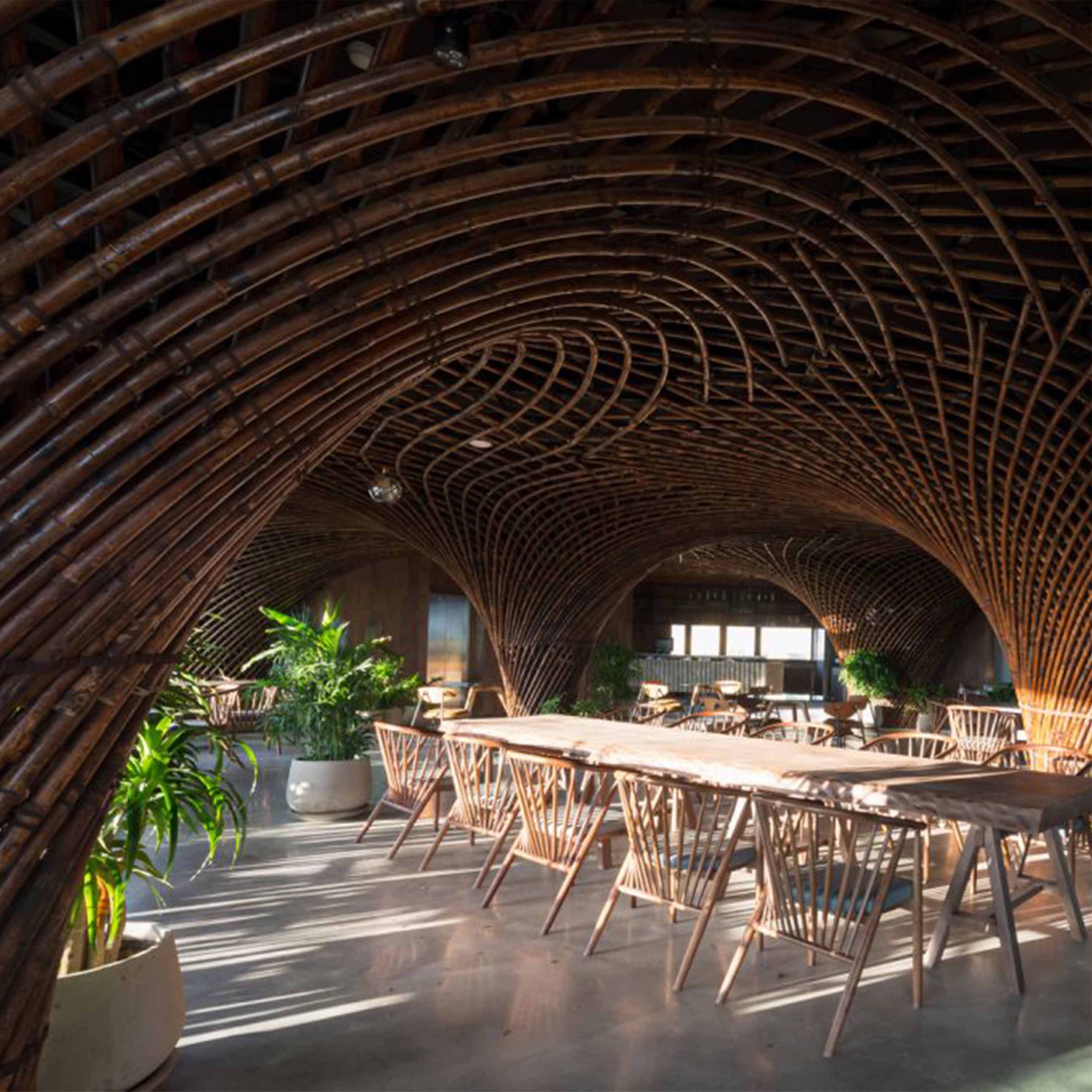 Cafe design inspired by Bamboo trees
